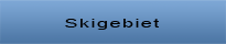 Skigebiet